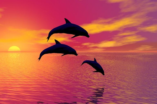 5 DAUPHINS MAGNIFIQUE OEUVRE PEINTURE