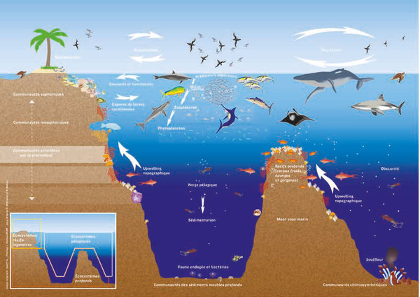 article 5 Ecosystèmes aquatiques continentaux