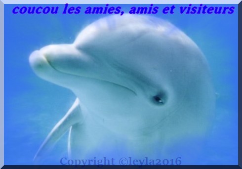 coucou je suis de retour mais pour pas longtemps 