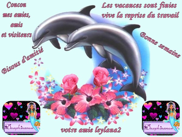 Coucou " leylana2 LE RETOUR " 