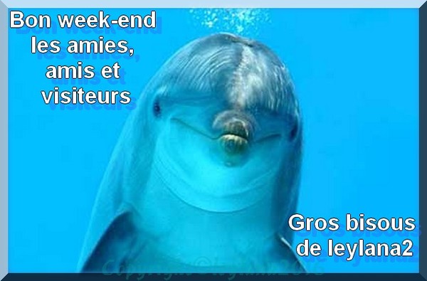 Excellent semaine et prochain WEEK-END à vous 