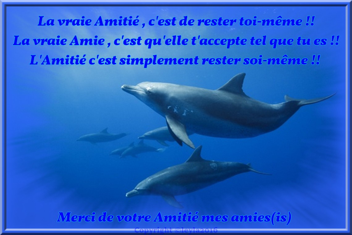 poeme rencontre inoubliable amitié