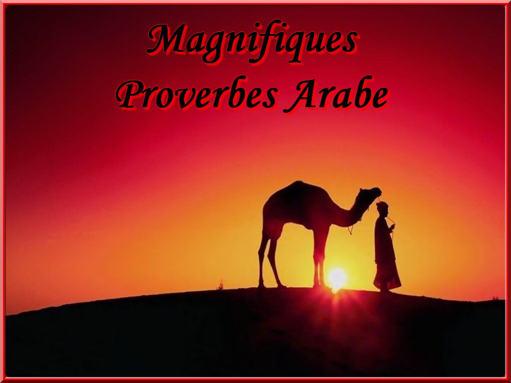 LIRE de Magnifiques proverbes Arabe