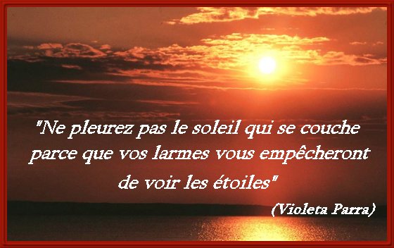 Belle Citation