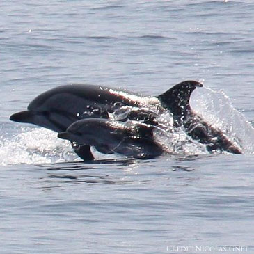 poemes d une rencontre inoubliable