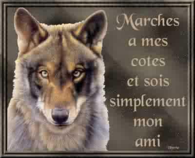 loup MAGNIFIKKKKKKKKKKKKKKKKKKK
